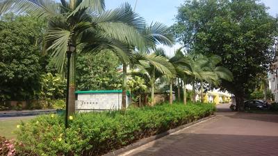 Image of 550 Sq.ft 1 BHK Studio for rent in Commonwealth CD Westwinds, Salcete, Goa for Rs. 20000