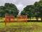 Vikrant Ruby Plot View 2