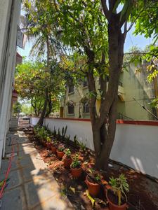 Image of 2500 Sq.ft 3 BHK Independent House for rent in Pathardi Phata, Nashik for Rs. 55000