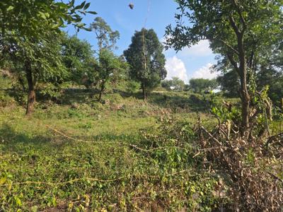 Image of 1800 Sq.ft Residential Plot / Land for sale in Kairwaan Gaon, Dehradun for Rs. 13600000
