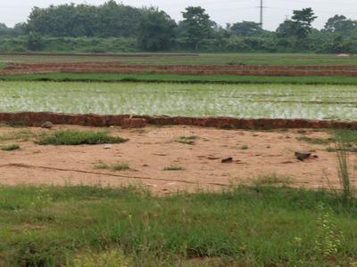 Image of 1000 Sq.ft Residential Plot / Land for sale in Benupur, Bhubaneswar for Rs. 2300000