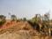 Dandi, Naini Plot View 2