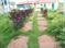 Aroma Sandolo Farm Land Gauribidanur Plot View 2