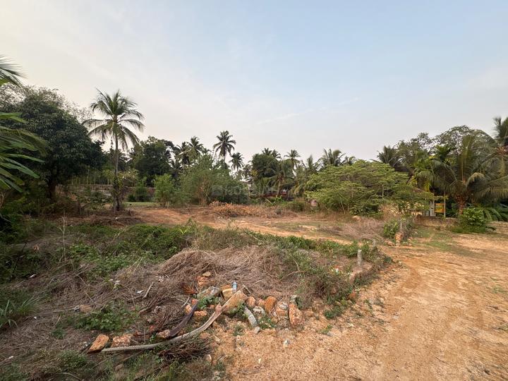Chitpady Main Image 1
