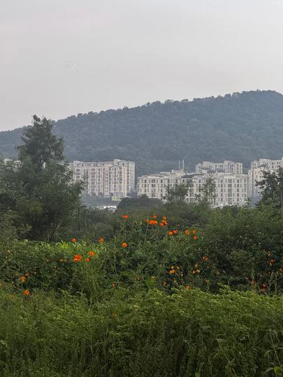 Sairung City Main Image 1