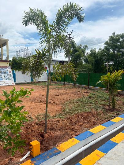 Mathur Main Image 1