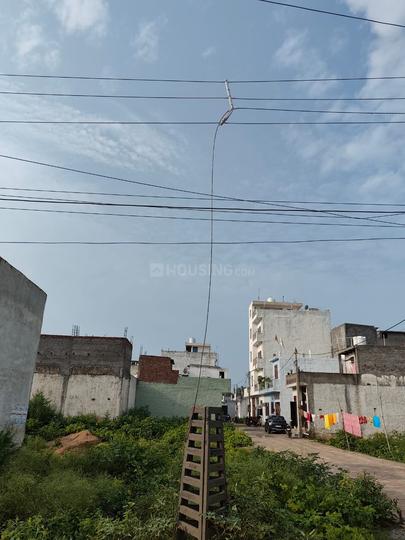 Royal green society Main Image 1