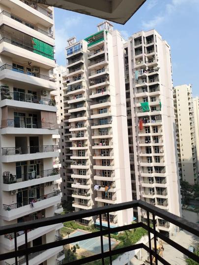 JKG Palm Court Main Image 1