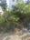 Sir M Vishweshwaraiah Layout 4th Block, SMV Layout Main Image 1