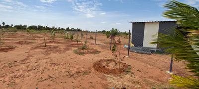 Image of 11104 Sq.ft Residential Plot / Land for sale in Sooriyur, Tiruchirappalli for Rs. 1765377