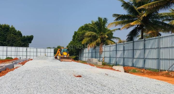 THE FIRST BLOOM Main Image 1