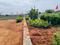 Maheshwaram Plot View 2