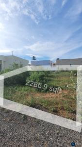 Image of 2286 Sq.ft Residential Plot / Land for sale in Mettupalayam, Coimbatore for Rs. 375000