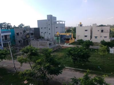 Plot View