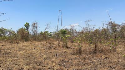 Image of 1089 Sq.ft Residential Plot / Land for sale in Karchunde, Raigad for Rs. 400000