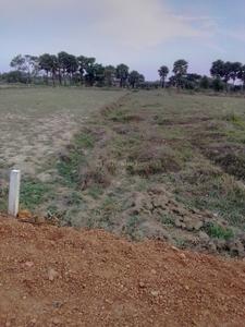 Patrapada Plot View 2