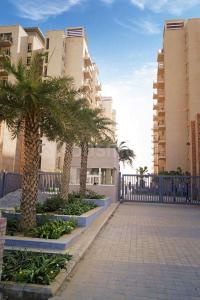 Image of 800 Sq.ft 3 BHK Apartment / Flat for sale in BPTP Park Elite Premium, Sector 84, Faridabad for Rs. 8500000
