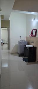 Hall Image of 950 Sq.ft 3 BHK Apartment / Flat for sale in Chhani Vadodara for Rs. 5900000