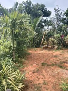 Image of 1590 Sq.ft 2.5 BHK Independent House for sale in Arkula, Mangalore for Rs. 6000000
