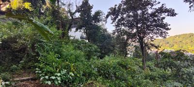 Image of 900 Sq.ft Residential Plot / Land for sale in Malsi, Dehradun for Rs. 3500000