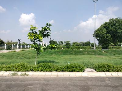 Amolik Concordia Living Plot View 1