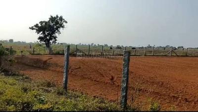 Agricultural Land