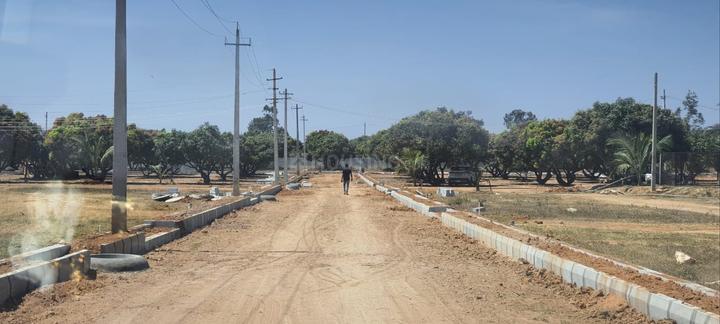 mango nest Main Image 1