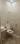 A 2B Block, Paschim Vihar Bathroom 1