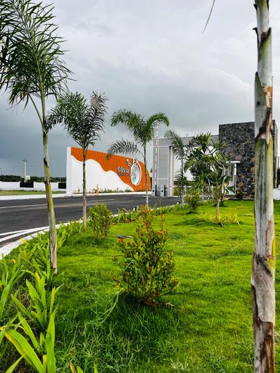 RR Olivia Main Image 1