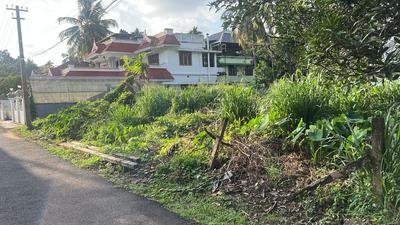 Residential Plot