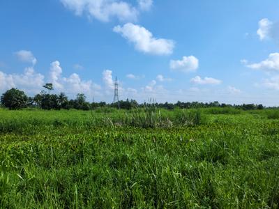 Image of 720 Sq.ft Residential Plot / Land for sale in Nest Valley, Joka, Kolkata for Rs. 195555