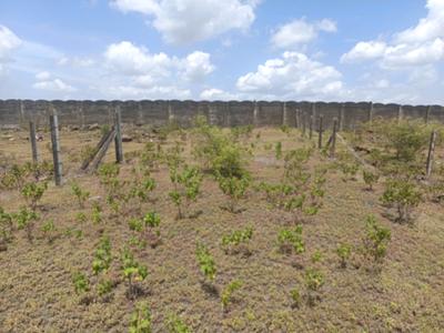 Image of 750 Sq.ft Residential Plot / Land for sale in Lohegaon, Pune for Rs. 1705000
