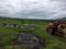 Kamshet Pride Main Image 1