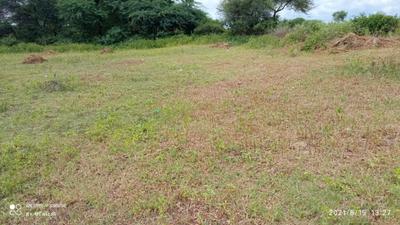 10 BHK Villa