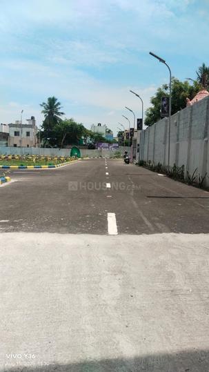 KKR Flamingo Main Image 1