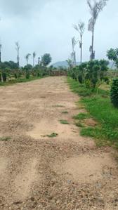 Residential Plot