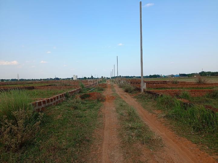 Patia Plot View 1