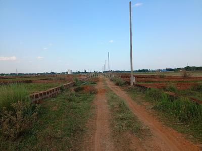 Patia Plot View 1