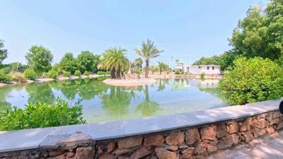 Image of 1831 Sq.ft Residential Plot / Land for sale in Kundal, Mehsana for Rs. 12500000