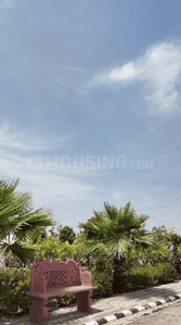 Residential Plot