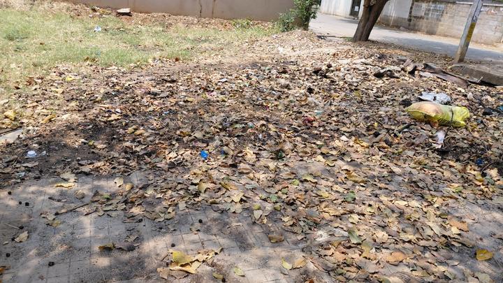 B. V. Nagar Main Image 1