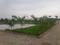 Subhagruha Sukriti Sampth Main Image 1