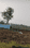 Sri Shiva Lohitha Ananda Brindavanam Phase II Plot View 2