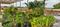 Premium Residential Plots For Sale Main Image 1