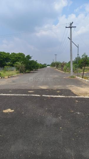 Padappai Main Image 1