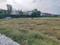 Dasna Plot View 2
