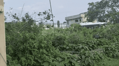 Image of 435 Sq.ft Residential Plot / Land for sale in Namkum, Ranchi for Rs. 1400000