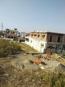 Selakui Plot View 1