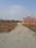 Adarsh Kashi Main Image 1