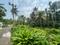 Purayidam Main Image 1